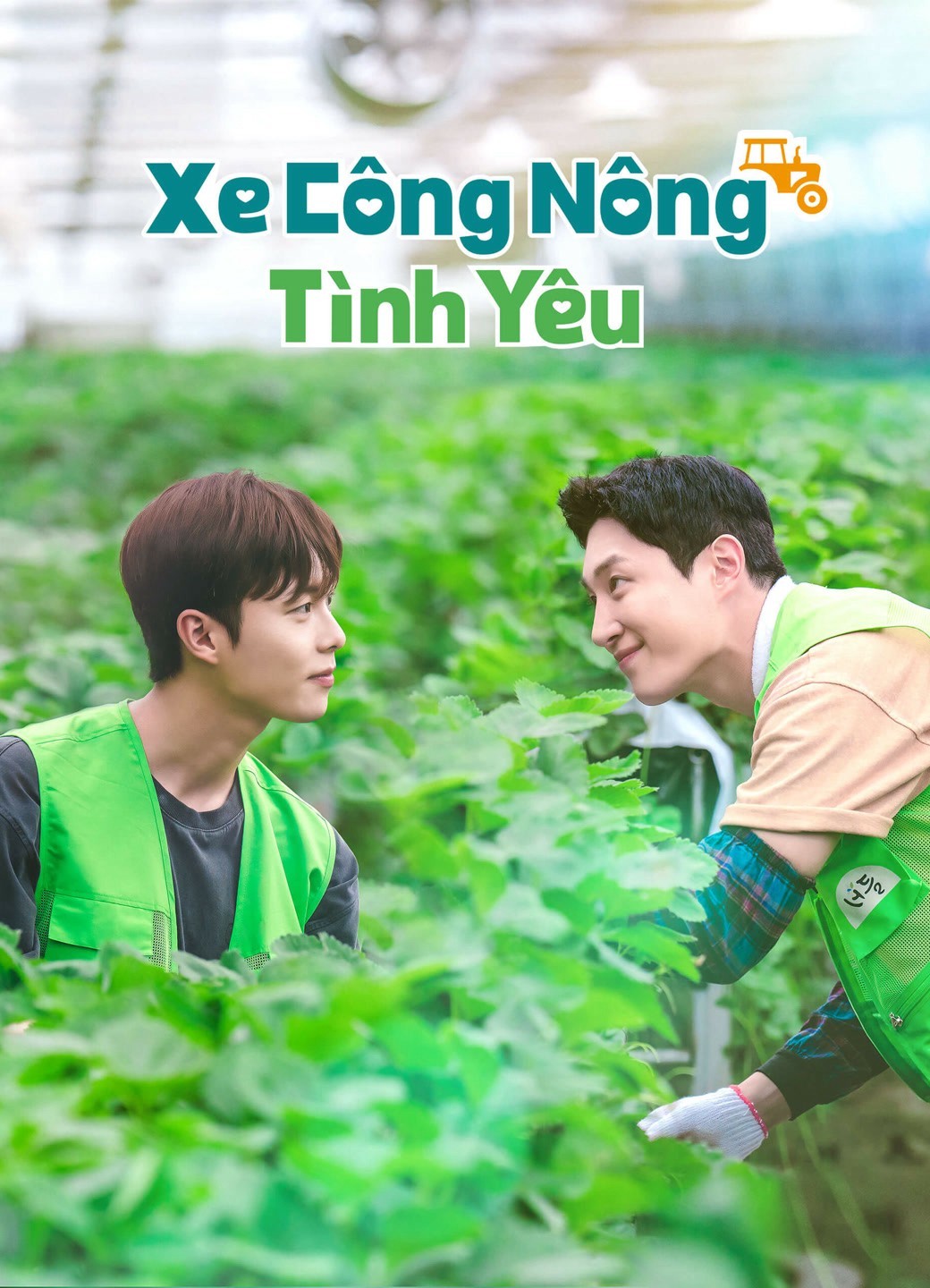 Xem phim Xe Công Nông Tình Yêu